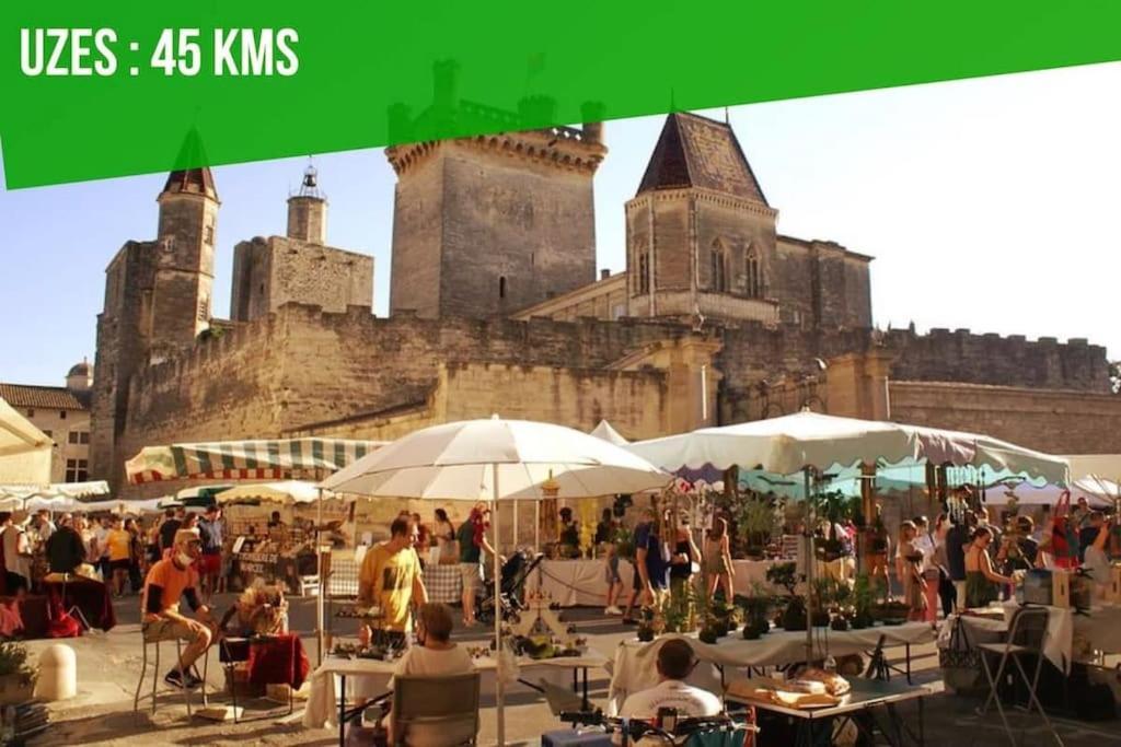 La Balance Des Doms - 1 Min Du Palais Des Papes - Intra-Muros アヴィニョン エクステリア 写真